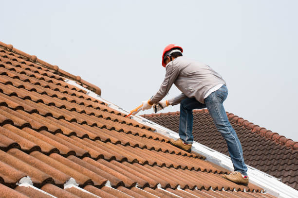 Best Cold Roofs  in Ladue, MO